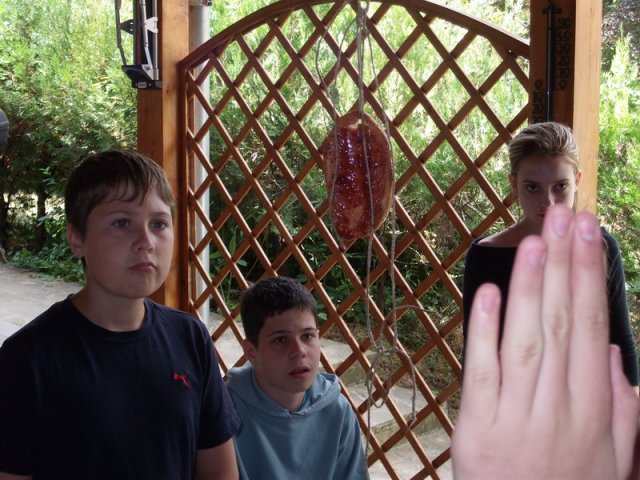 dscf1331